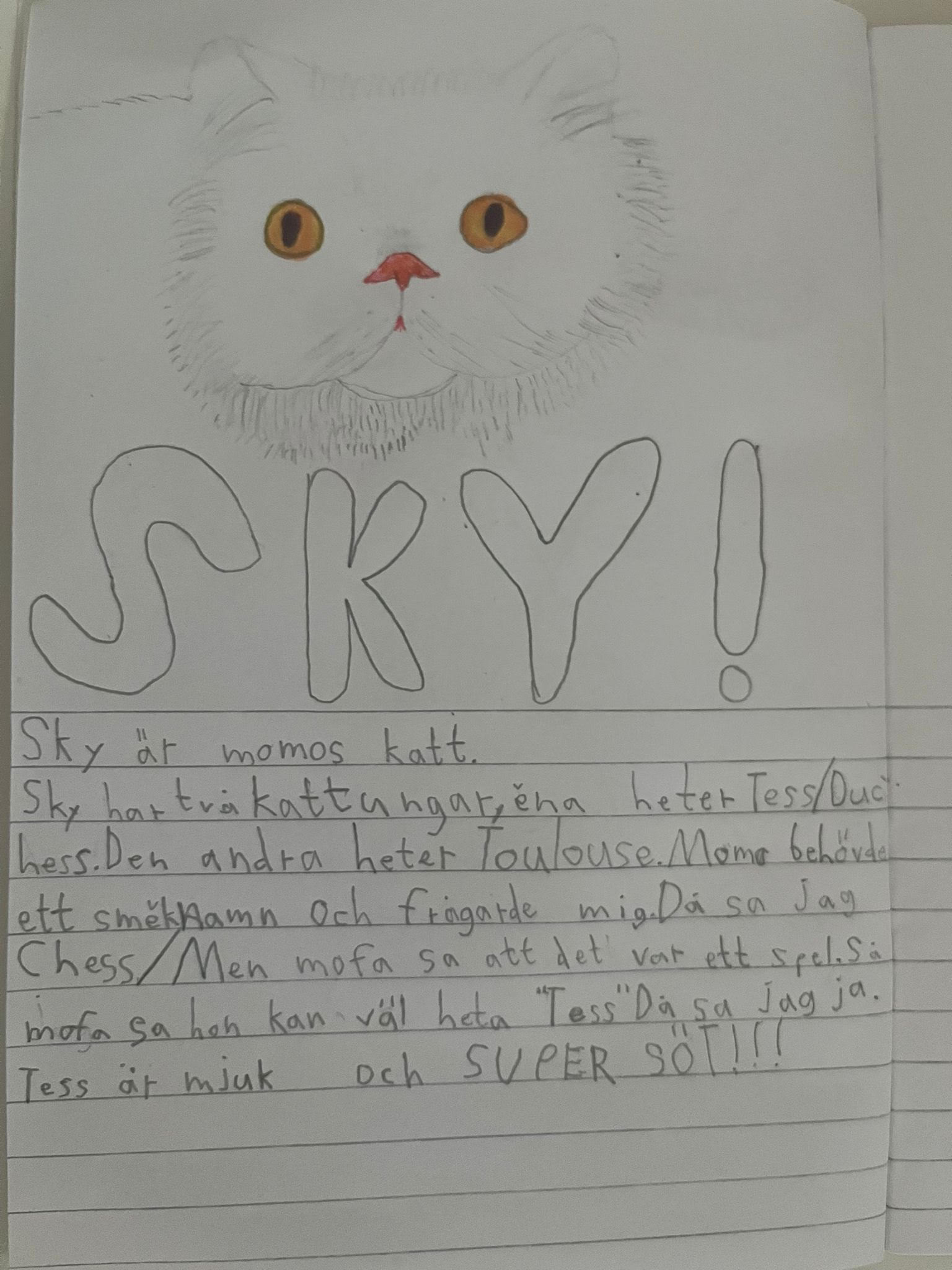 Ebba 9 år som skriver om Sky's bäbisar